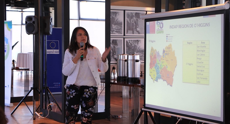 Presentación de Indap en taller UE