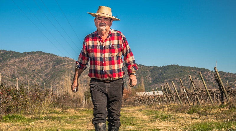 Productor de vinos José Becerra 1
