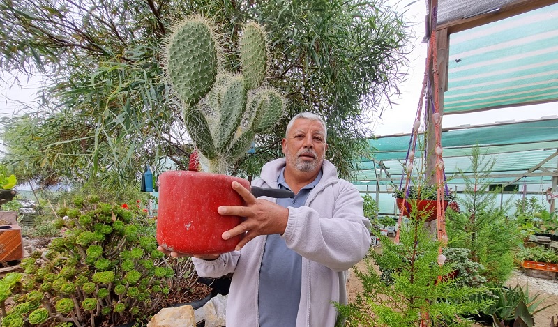 Vivero Antonio Escobar - La Higuera 1