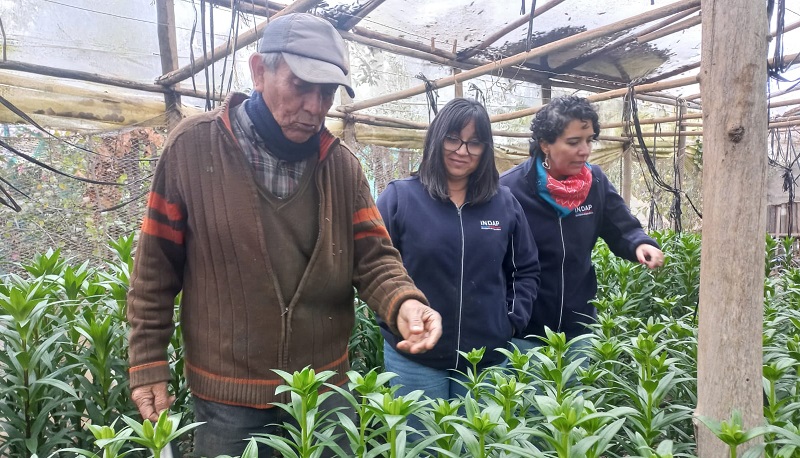 Proyectos agroecológicos San Antonio 1