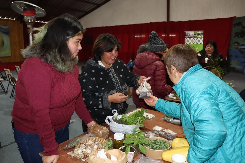 Trafkintu Comunidades Indígenas de Mariquina y ValdiviaMesa PDTI Máfil-1Portada