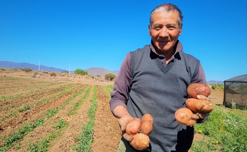 Hernán Tapia - agricultor Coquimbo 1