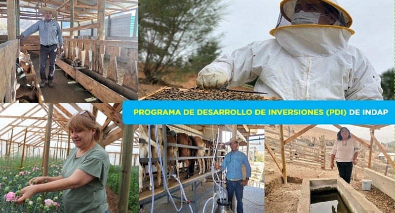 Programa de Desarrollo de Inversiones Coquimbo