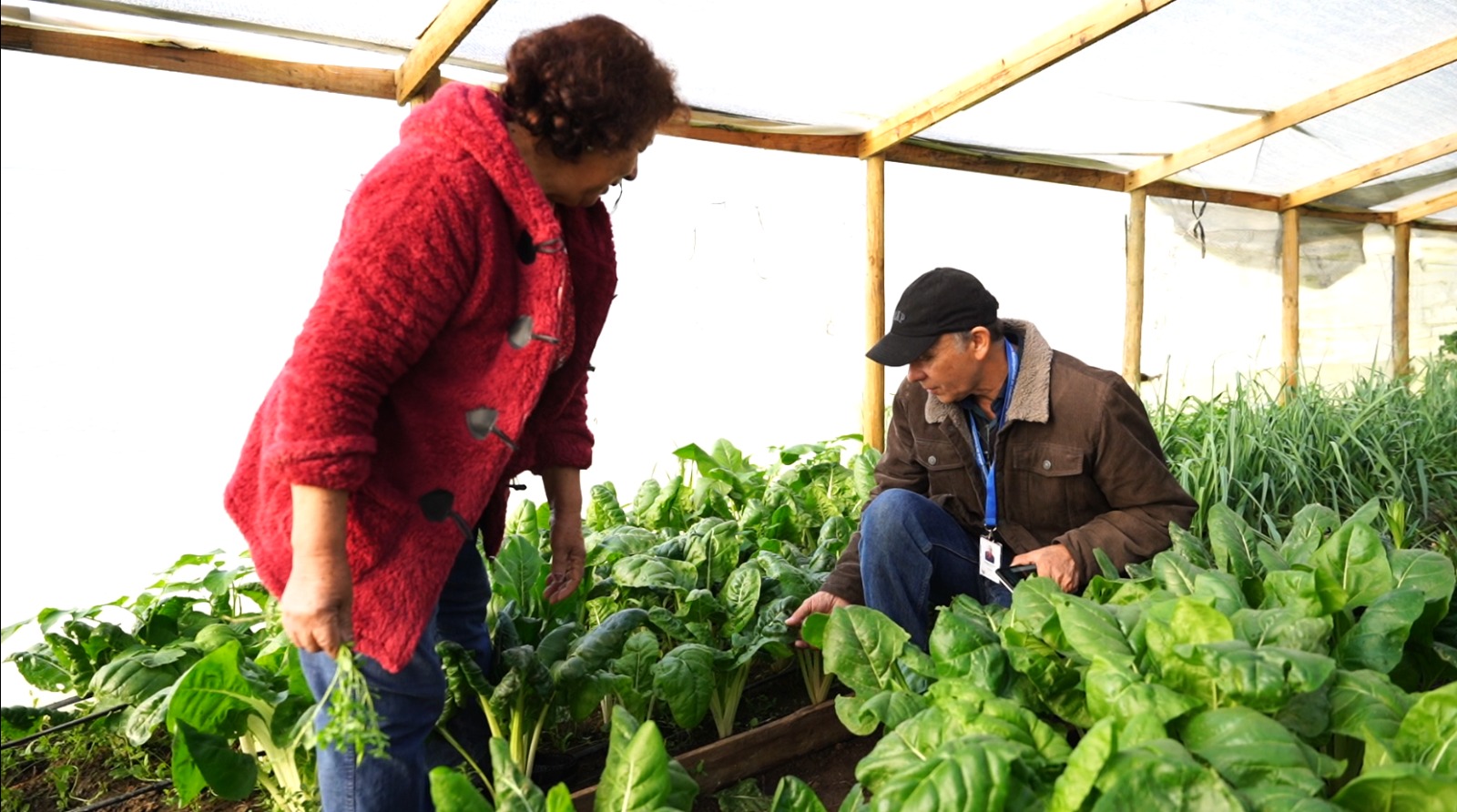 Prodesal y proceso participativo para validar nueva norma técnica 