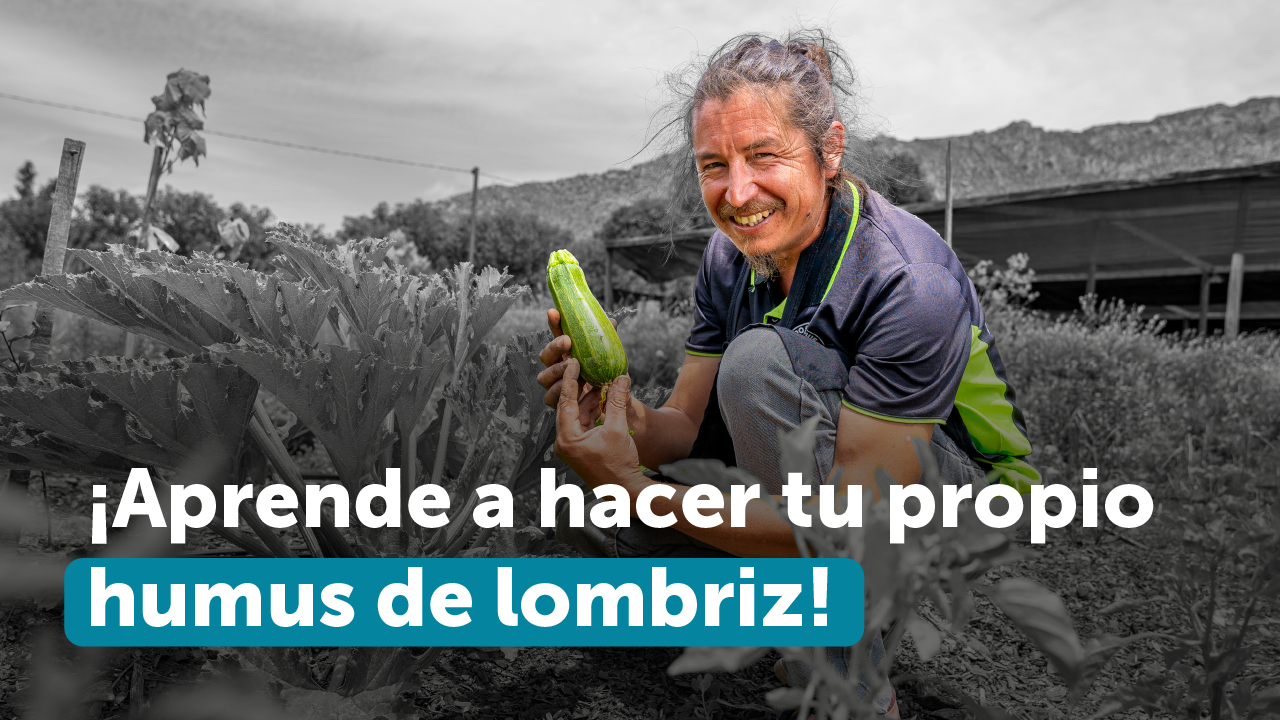 ¡Aprende a hacer tu propio humus de lombriz!