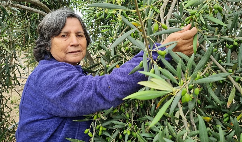 Patricia Villalobos - agricultora SAT La Higuera 1