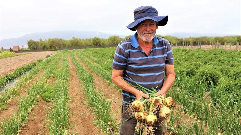 Roberto Barrera - agricultor La Higuera 1