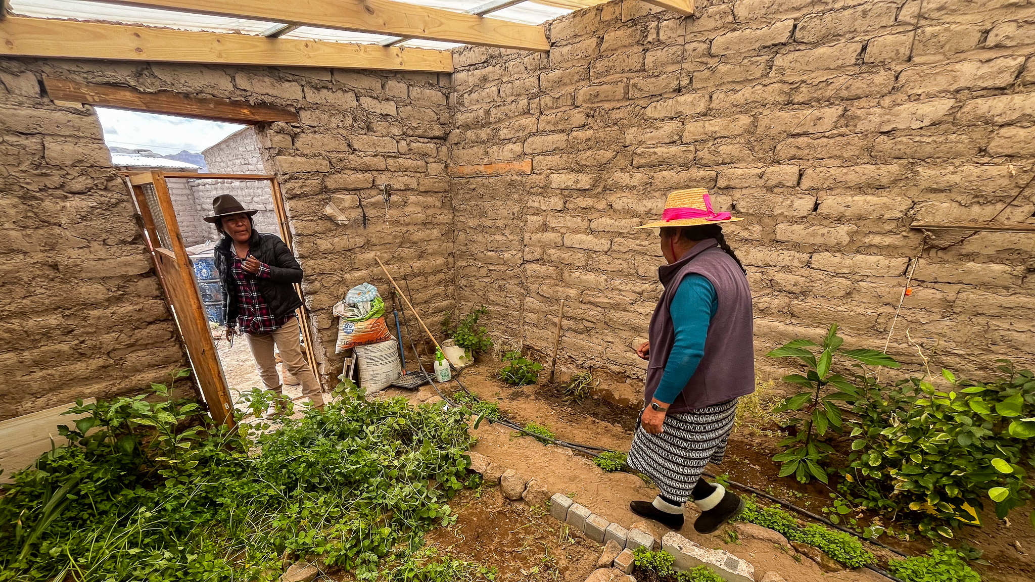Invernaderos construidos con adobe ayudan al autoconsumo con agricultores del altiplano