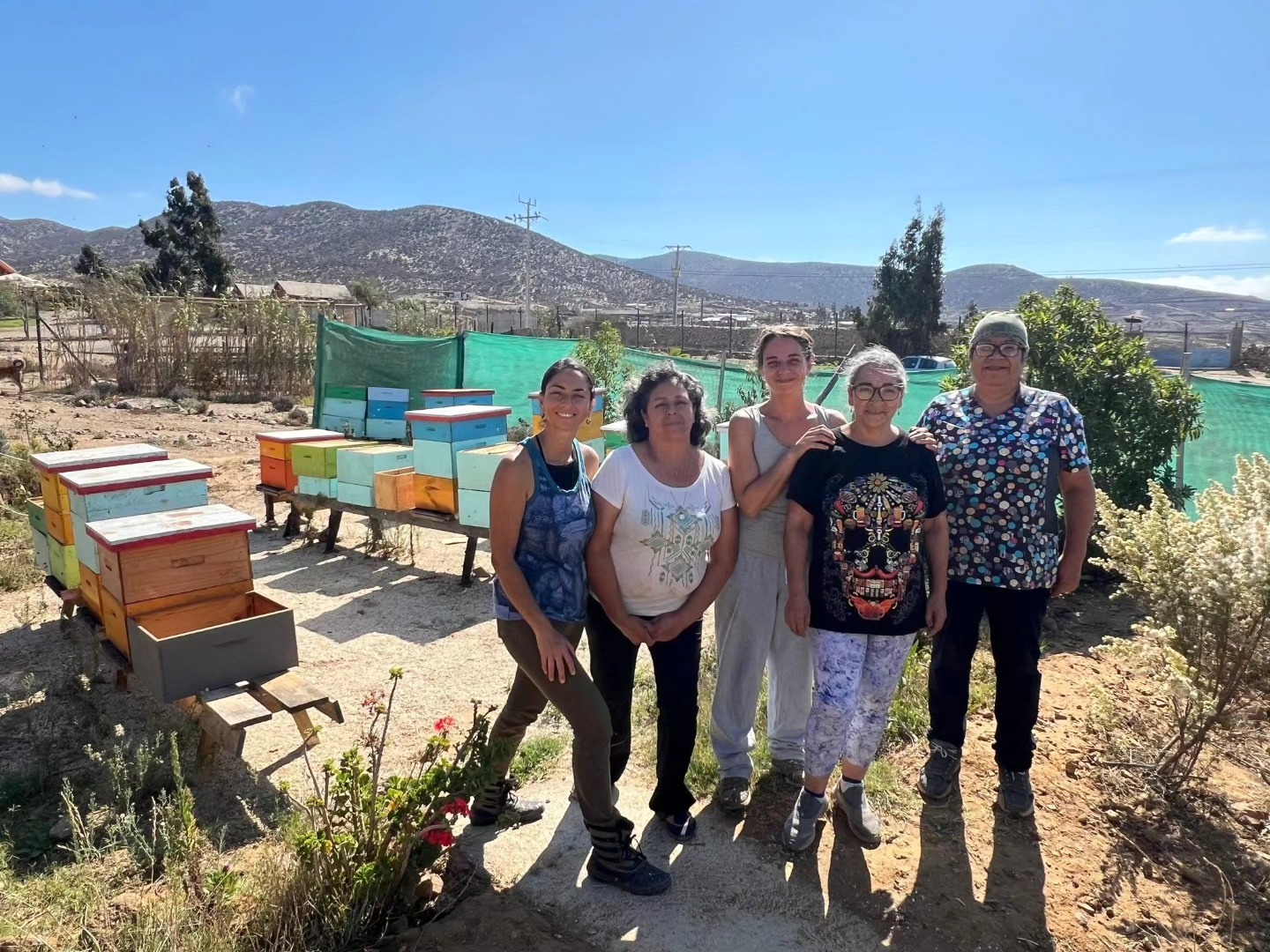 El grupo Mielki junto a la bebida produce propóleo y miel en el sector de El Hinojal