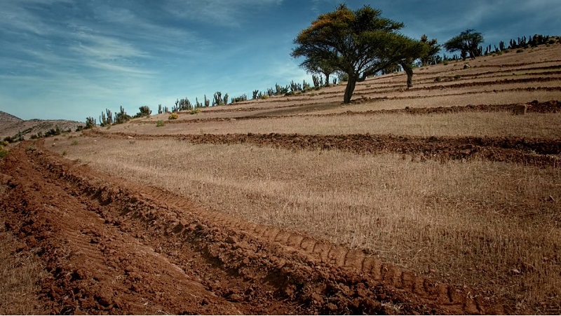 Concurso suelos agropecuarios Coquimbo 1