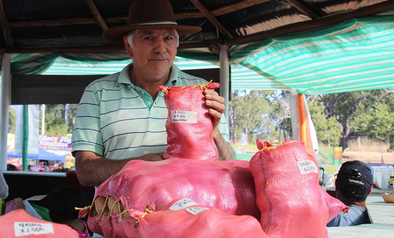 Feria Agrícola, Ganadera y Forestal en Cañete 1