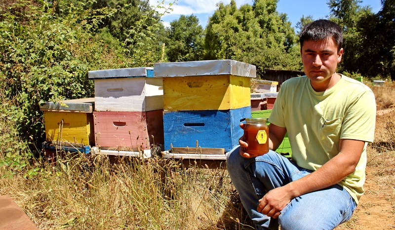 Luis Zagal - apicultor Mulchén 1