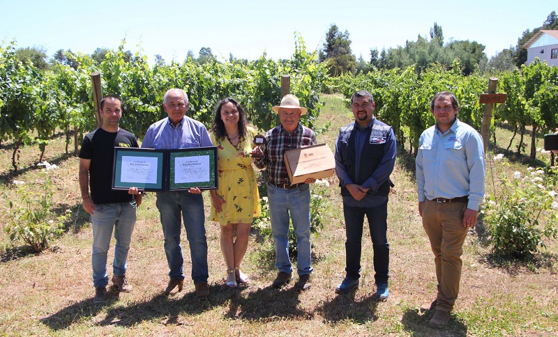 Noche del Carmenere vinos premiados 1