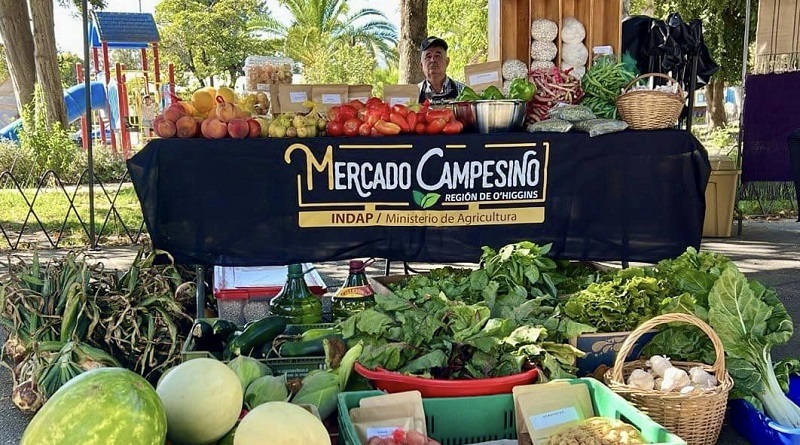 Nuevo Mercado Campesino Pichidegua 1