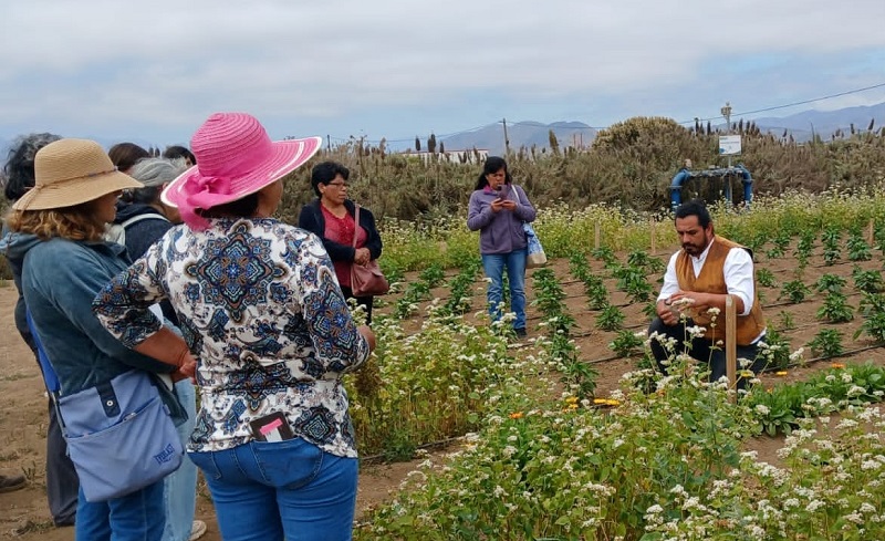 Taller biodiversidad TAS Coquimbo 1