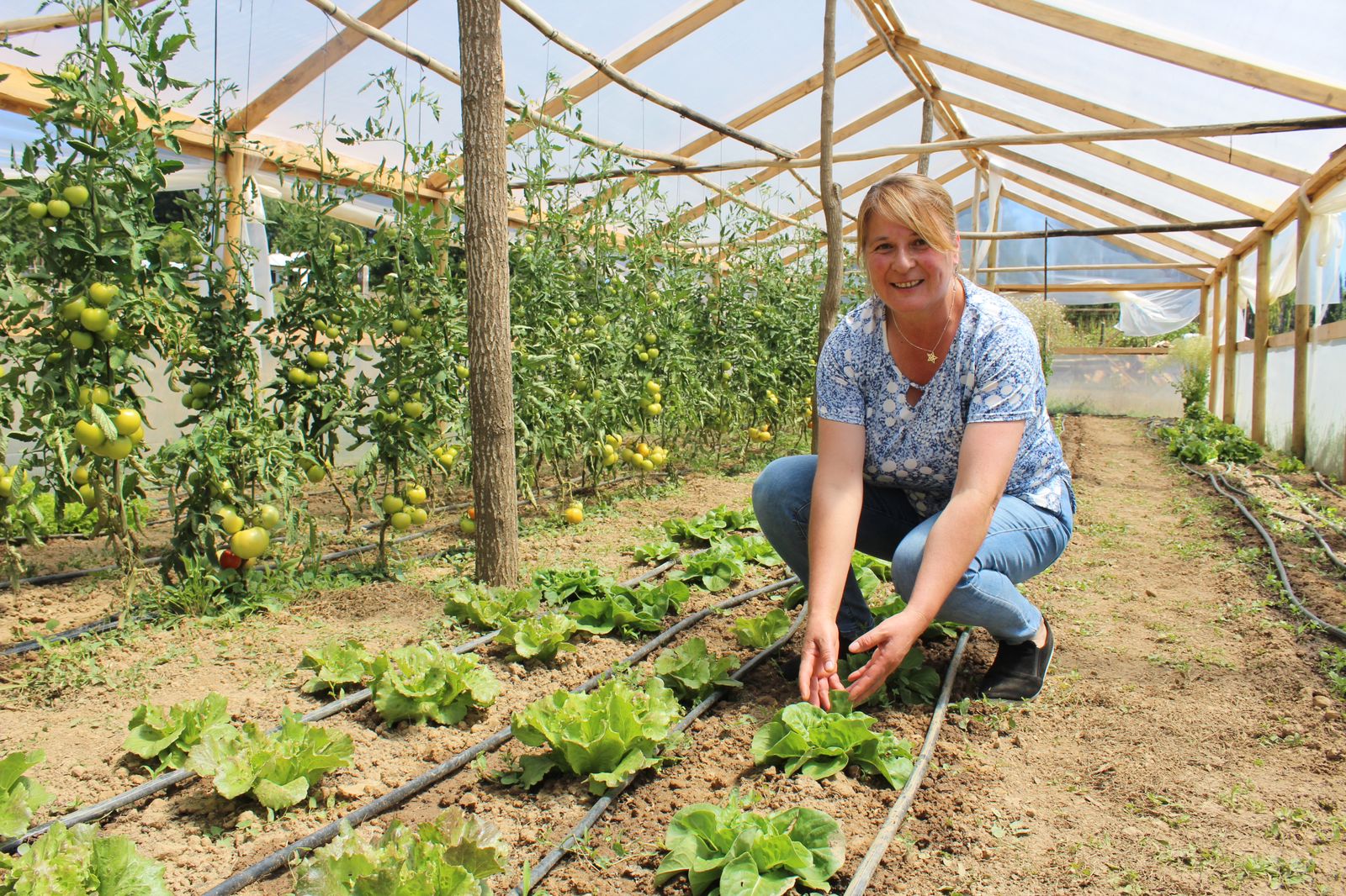 Mujeres dominan el sector agrícola de Biobío con una presencia del 53% en INDAP