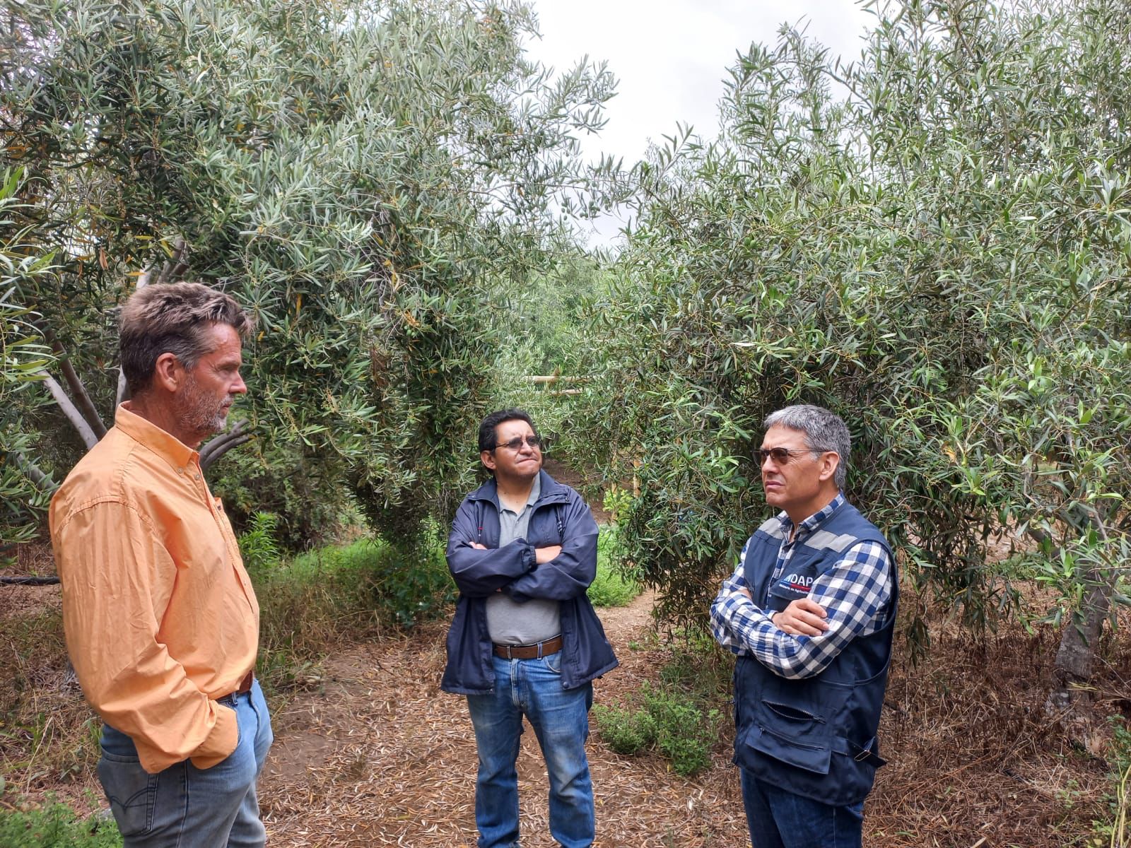 En terreno el seremi de Agricultura de Coquimbo junto al director regional de INDAP