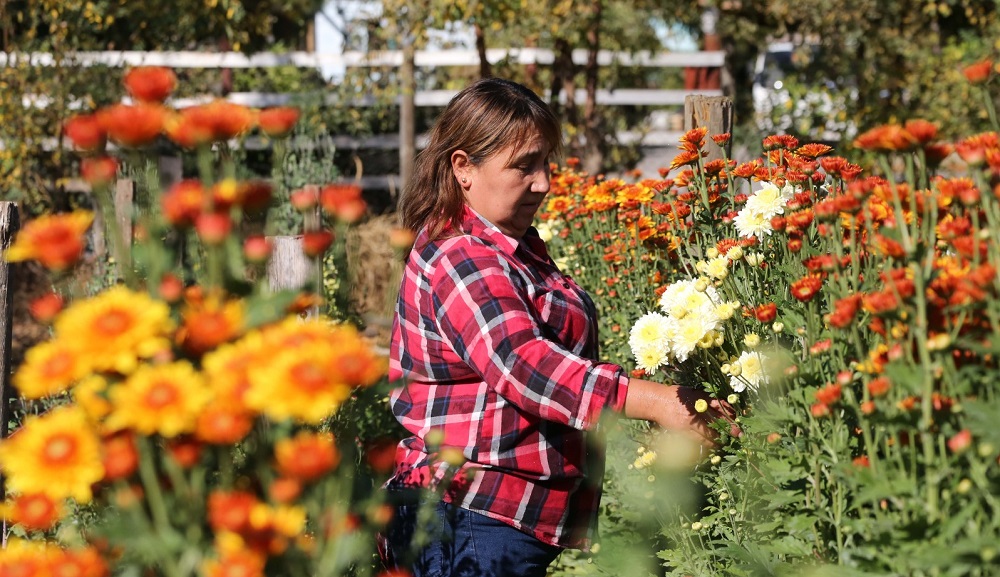 Valeria González - floricultora comuna de Maule 1