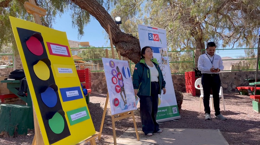 Capacitación en uso de plaguicidas a mujeres de Camiña