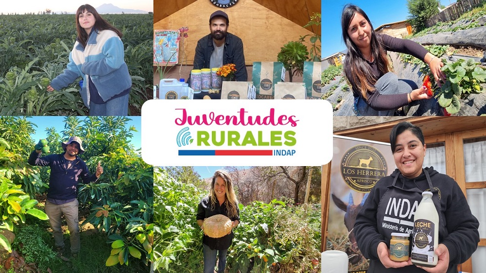 Políticas de Indap para las juventudes rurales