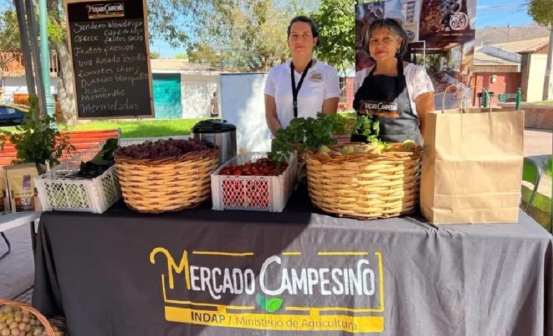 Mercados Campesinos Fiestas Patrias Coquimbo