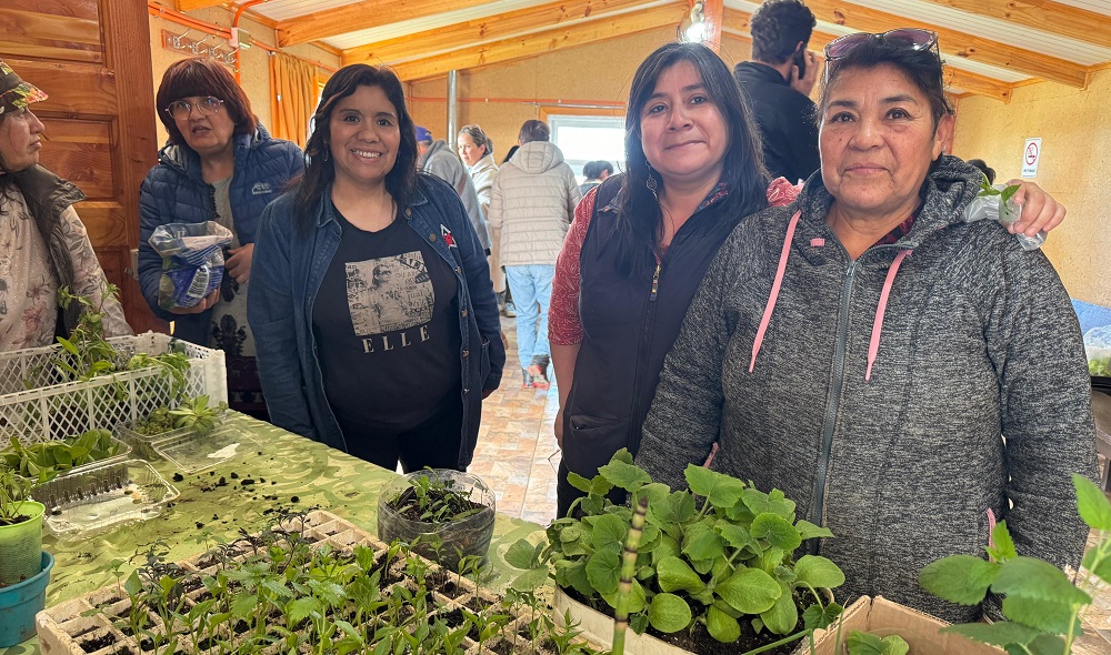 Intercambio de semillas Prodesal Punta Arenas