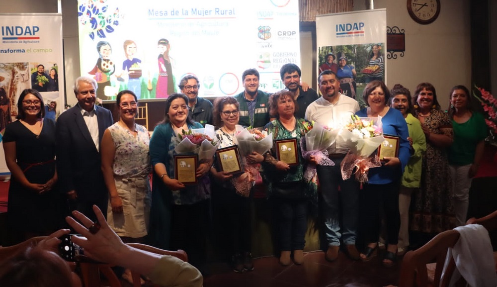Reconocimiento Día Mujer Rural Maule