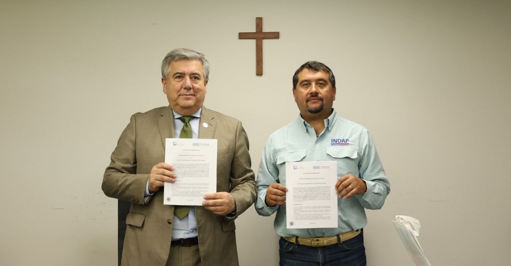 Acuerdo colaboración INDAP Maule - CFT San Agustín