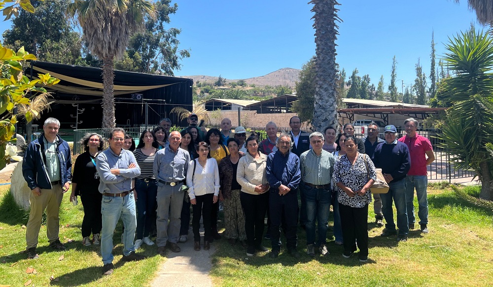 Balance comités de agencia de área de Indap Coquimbo