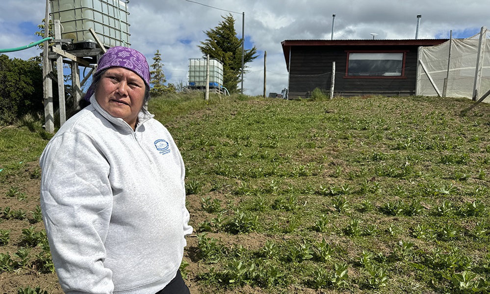 Faros agroecológicos Magallanes - Macsemina Cheuquepil