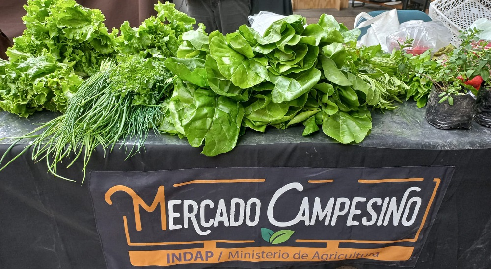 Inicio temporada de Mercados Campesinos en Punta Arenas