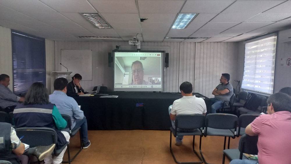 Taller de sociabilización de proyecto BID en Maule