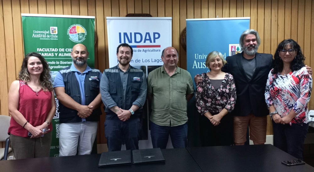 Convenio de colaboración UACH-INDAP Los Lagos