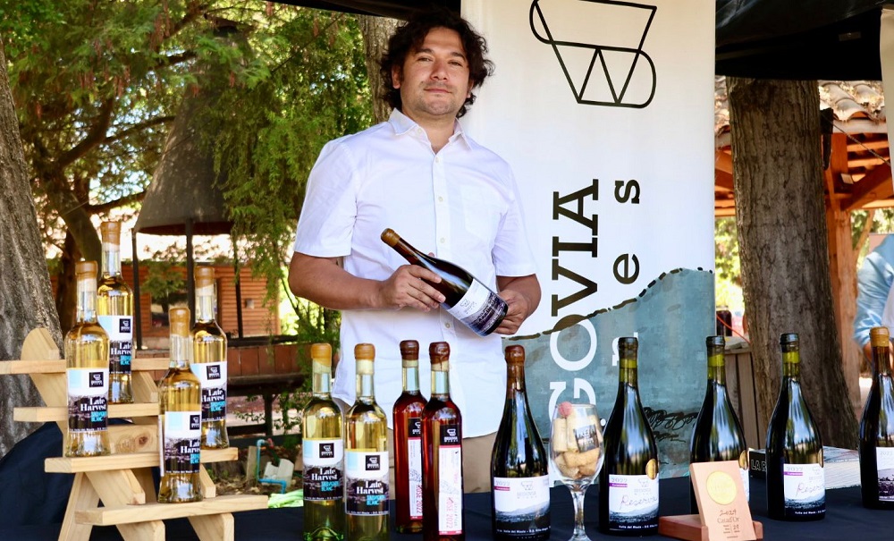 Viña Segovia Wines - mejor vino en Noche del Carmenere