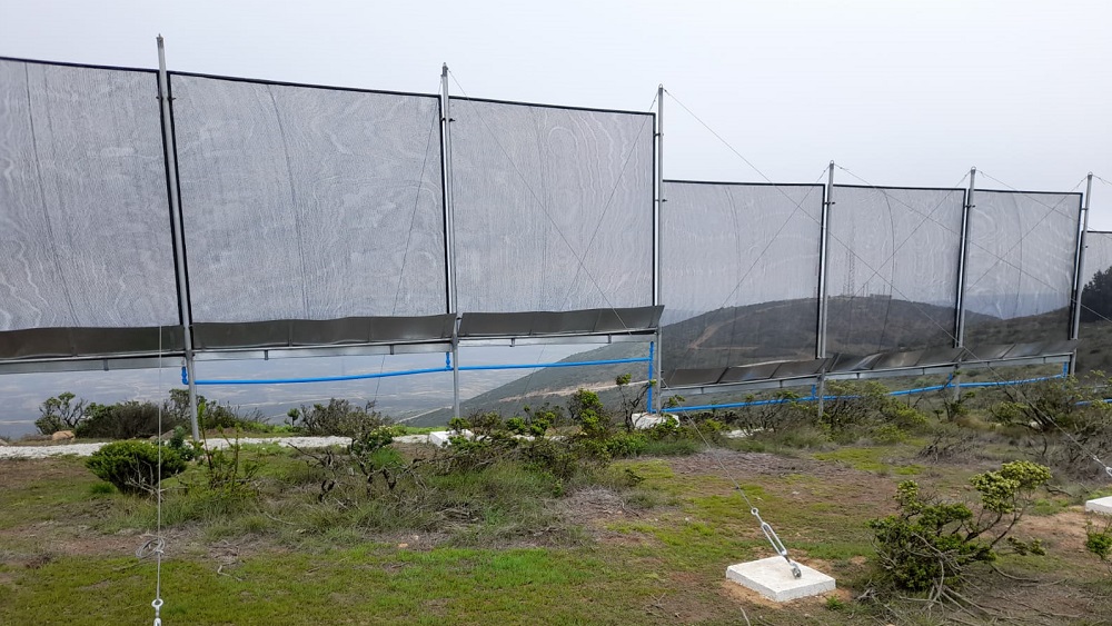 Indap cofinancia sistemas de atrapanieblas en Coquimbo