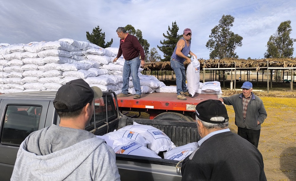 Incentivos para insumos para 7 mil agricultores de O'Higgins