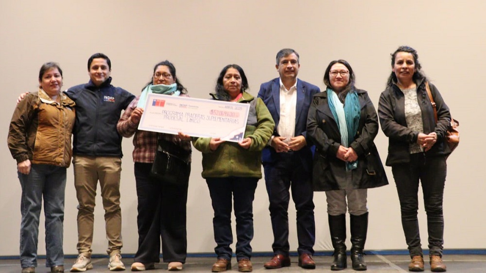 Incentivos Praderas Suplementarias Lanco