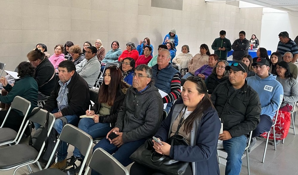 Taller producción avícola Illapel