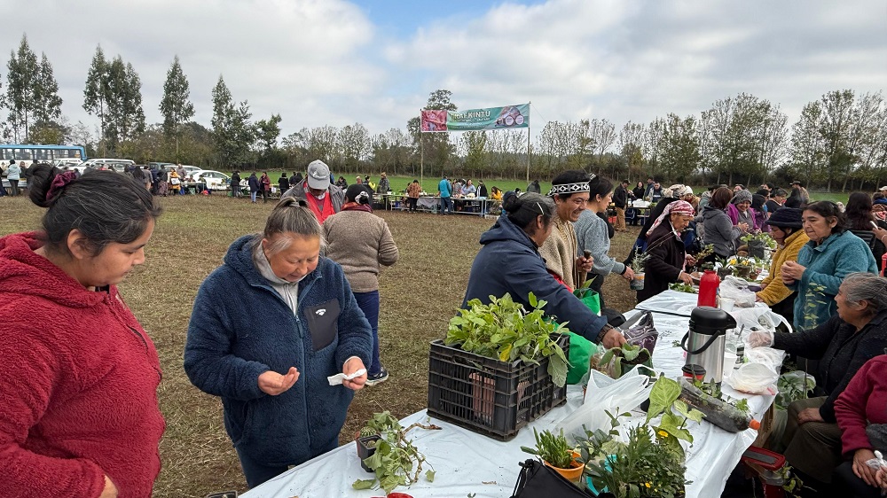 Trafkintu en faro agroecológico de Lautaro