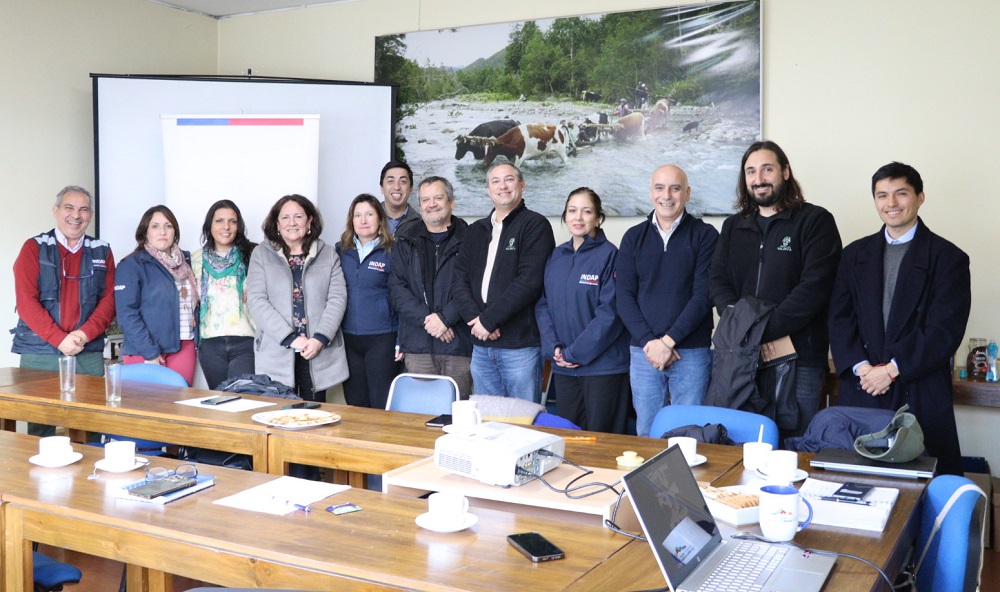 Nuevo formato de ejecución Prodesal Valdivia y Panguipulli