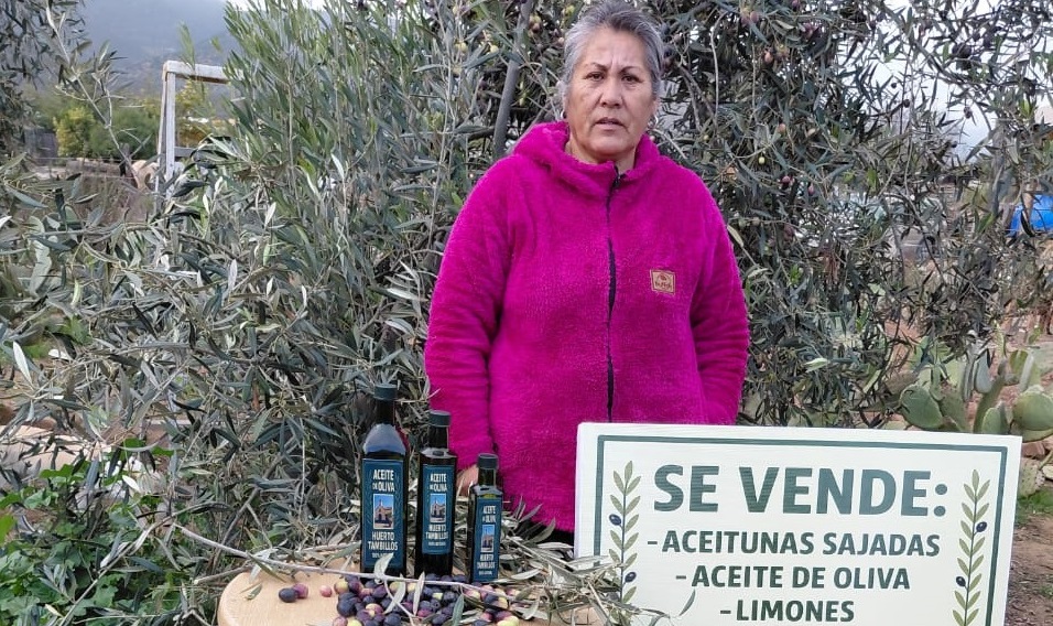Productora olivícola de Coquimbo Gloria Alvarado