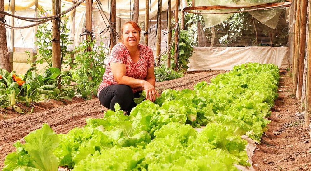 Agricultores destacados de la región de O'Higgins