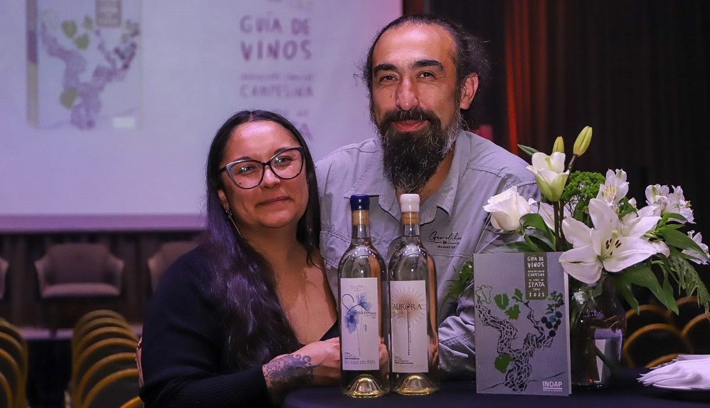 Primera Guía de Vinos del Valle del Itata