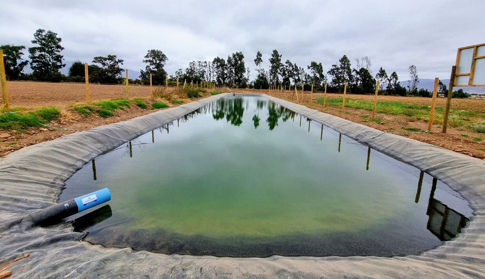 Bono Legal de Aguas Indap Coquimbo