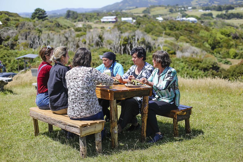 Descripción de la img
