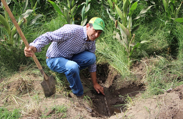 Universal Penetrar Alfabeto Riego por goteo subterráneo fue la solución para los cultivos de maíz y  alfalfa de Héctor Farías | Indap