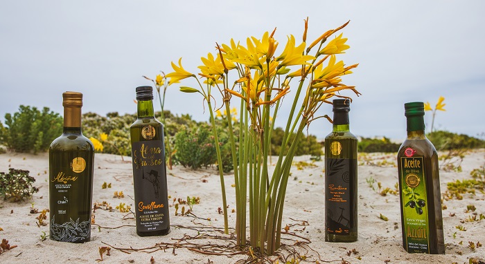 Aceite de oliva del Huasco certificación 2