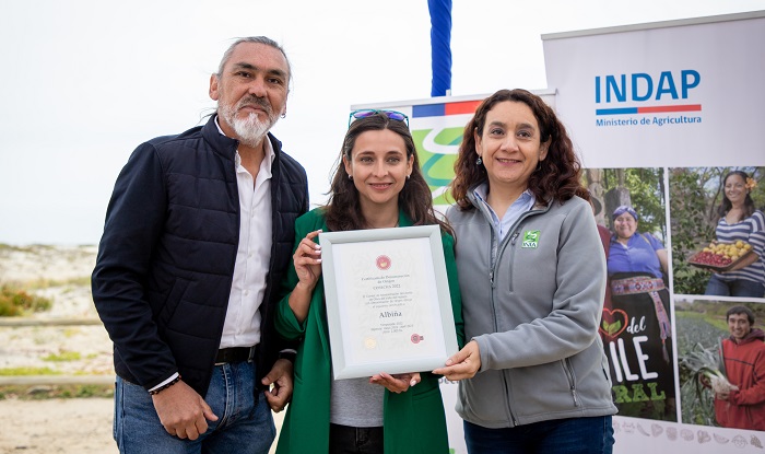 Aceite de oliva del Huasco certificación 3