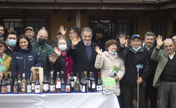 Agroseguros viñas Ñuble y Biobío 2