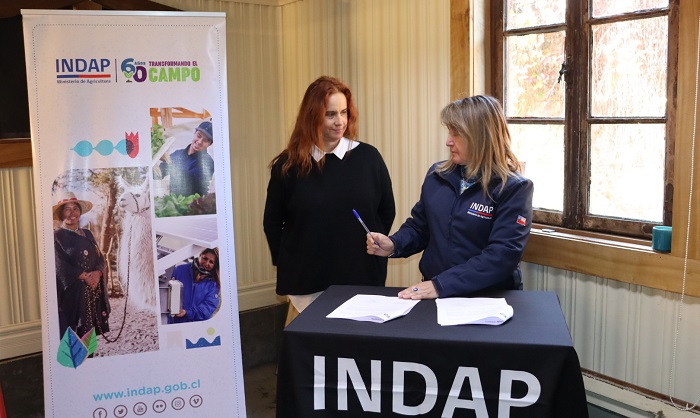 Alianza Comercial INDAPLos Ríos - Artesanías Los Andes-3Interior